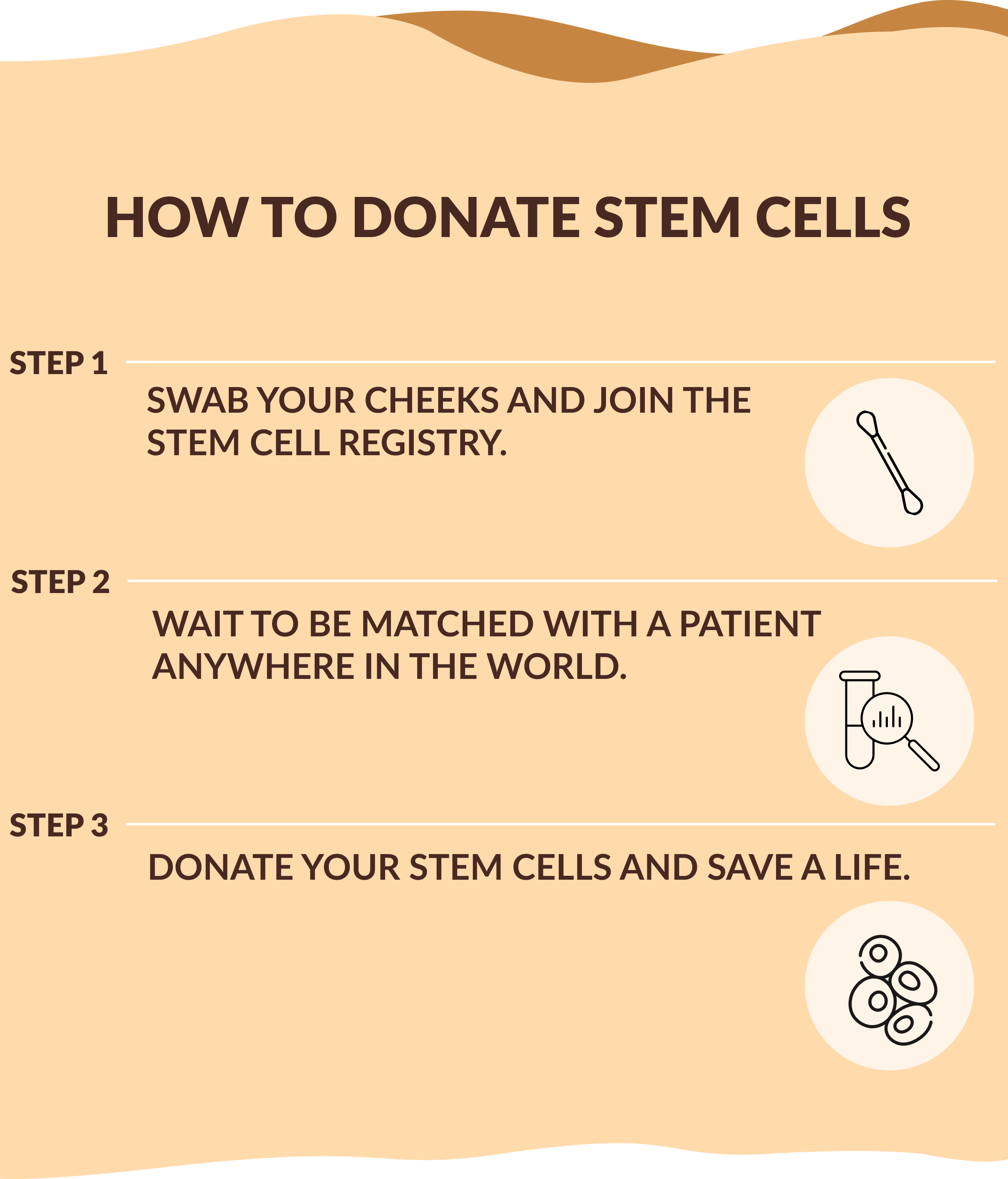 How to Donate Stem Cells